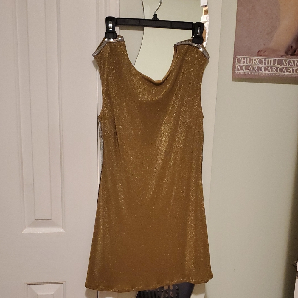 BCBGMaxAzria Gold and Tan Dress